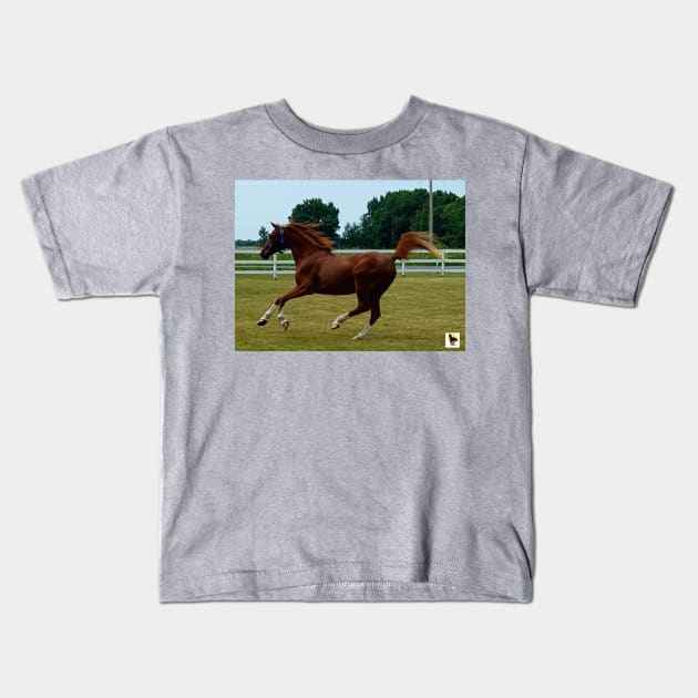 Legg RBG Kids T-Shirt by SunshineHorses